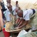 Learners demonstrate how to make eco-friendly briquettes during the science fair exhibition at Uganda Martyrs Katwe Primary School.