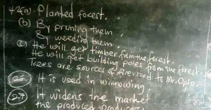 14 Arrested for PLE Examination Malpractice in Greater Masaka