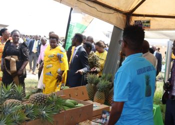 Is Greater Luwero Region the Next Industrial Hub?