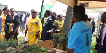 Is Greater Luwero Region the Next Industrial Hub?