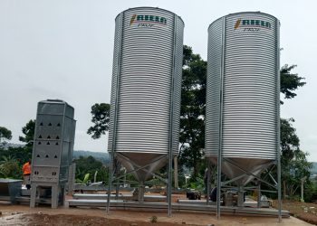 Grain processing and storage facility