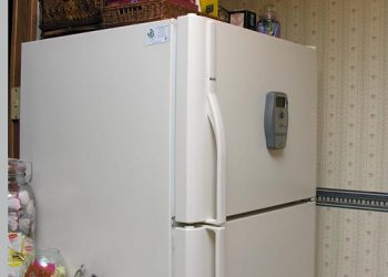 Playtime Turns Fatal as Two Boys Die in Refrigerator