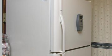 Playtime Turns Fatal as Two Boys Die in Refrigerator