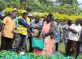 Nakaseke Central MP Elect Launches Coffee Planting Campaign
