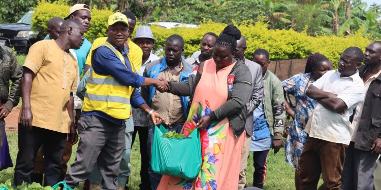 Nakaseke Central MP Elect Launches Coffee Planting Campaign