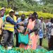 Nakaseke Central MP Elect Launches Coffee Planting Campaign