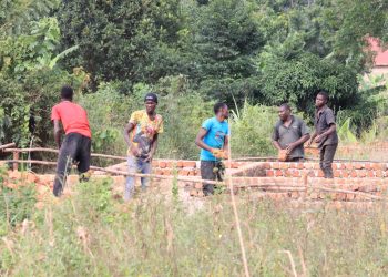 Part of Nakanyonyi Church of Uganda Primary School land in Nakifuma–Naggalama, where suspected land grabbers destroyed crops and boundary fences during an early morning raid.