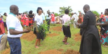 Caritas MADDO Leads Tree Planting, Hygiene in Forests Day Commemoration