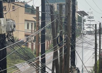 UCC Moves to End Fibre Pole Chaos, Targets Tangled Cables and Duplicate Installations