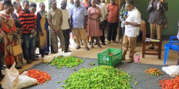 Farmers attending a briefing session from Nicholas Atukwase