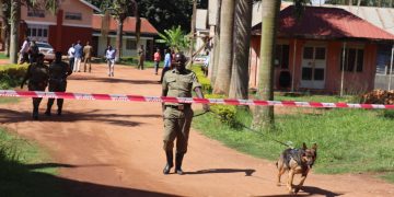 Luwero Residents Face Surge in Crime Rates