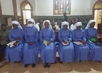 Parents Warned Against Forcing Children Into Priesthood