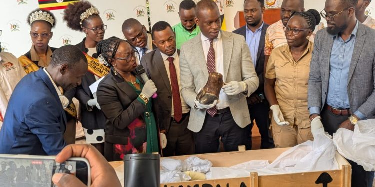Uganda Ramps Up Heritage Protection Ahead of 2026 International Museums Day