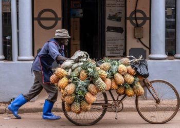 Uganda’s Jobs Crisis Is No Longer About Numbers, It Is About Survival