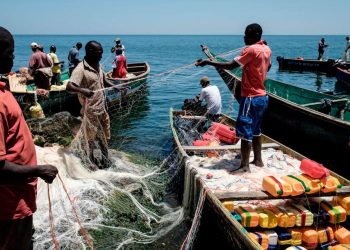 New Fishing Committees Unveiled in Masaka, Leaders Decry Harsh Enforcement