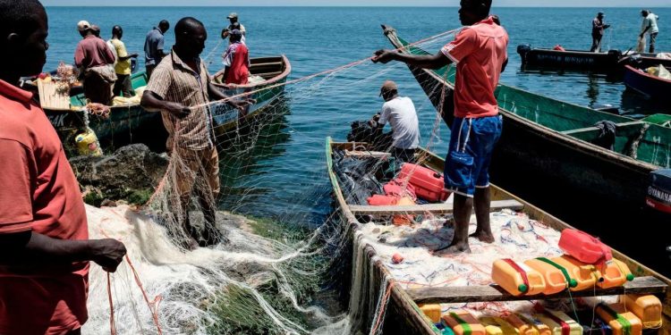 New Fishing Committees Unveiled in Masaka, Leaders Decry Harsh Enforcement