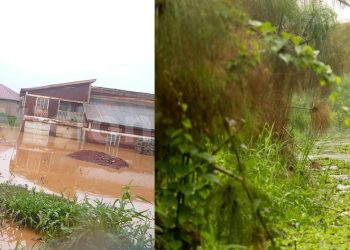 Government Targets Wetland Structures as Seeta School Faces Possible Demolition