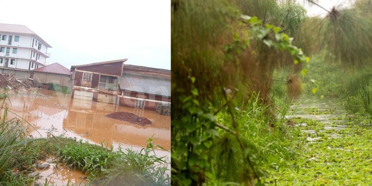 Government Targets Wetland Structures as Seeta School Faces Possible Demolition