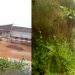 Government Targets Wetland Structures as Seeta School Faces Possible Demolition