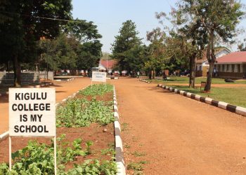 Kigulu College Seeks Shs2 Billion to Tackle Acute Classroom Shortage