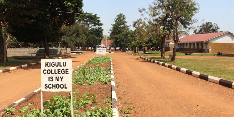 Kigulu College Seeks Shs2 Billion to Tackle Acute Classroom Shortage