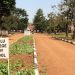 Kigulu College Seeks Shs2 Billion to Tackle Acute Classroom Shortage