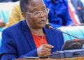 Nambooze Pledges Fair, Firm Oversight As She Takes Charge Of Local Government Accountability Committee