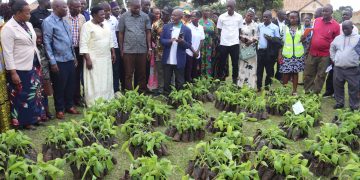 DSG Rose Namayanja Nsereko the Executive Director of RNF and other leaders inspecting some of the banana tissues which they donated to PTCs