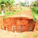 Njeru Residents Ask Balaam to Investigate Alleged Mismanagement of Road Funds