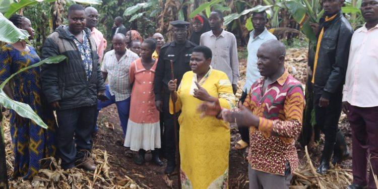 Namayanja Foundation, Nakaseke District Partner to Equip Practical Training Centres