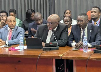 Telecom Firms Deny Unauthorised Deductions as COSASE Probes Digital Lending