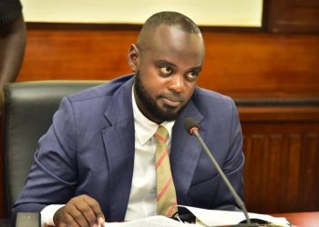 Parliament Reviews Digital Number Plate Rollout Amid Capacity Questions