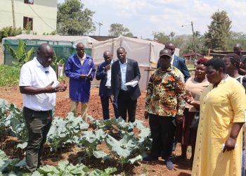 DSG Namayanja Lauds Prisons Service Over Parish Livelihood Innovation Village