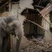 Government to Train Communities on Preventing Wildlife Conflicts